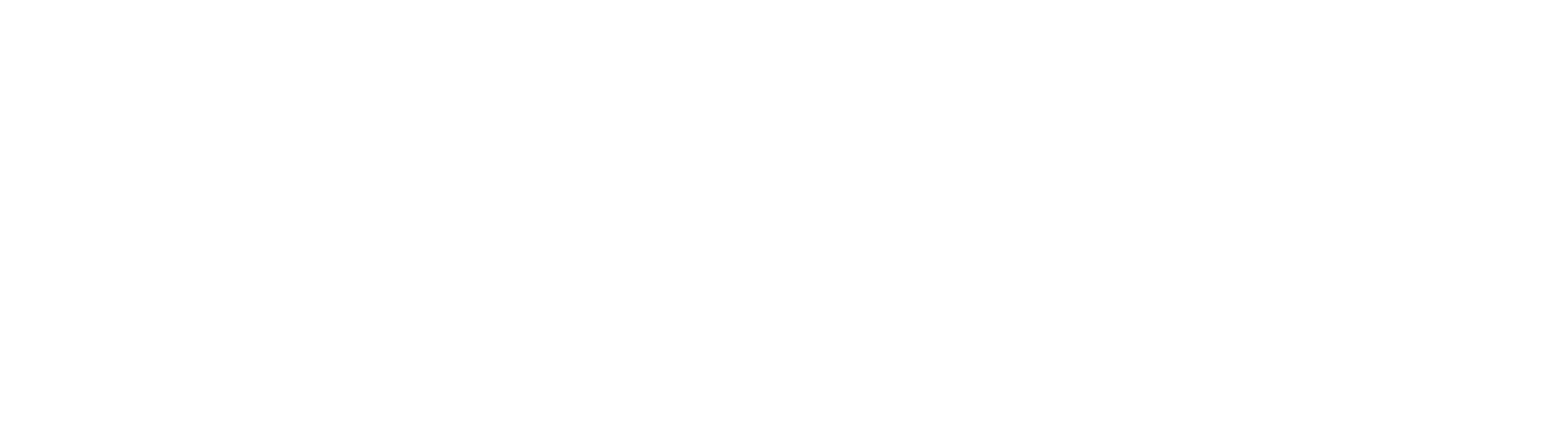 Logo Bordeaux Mobilité